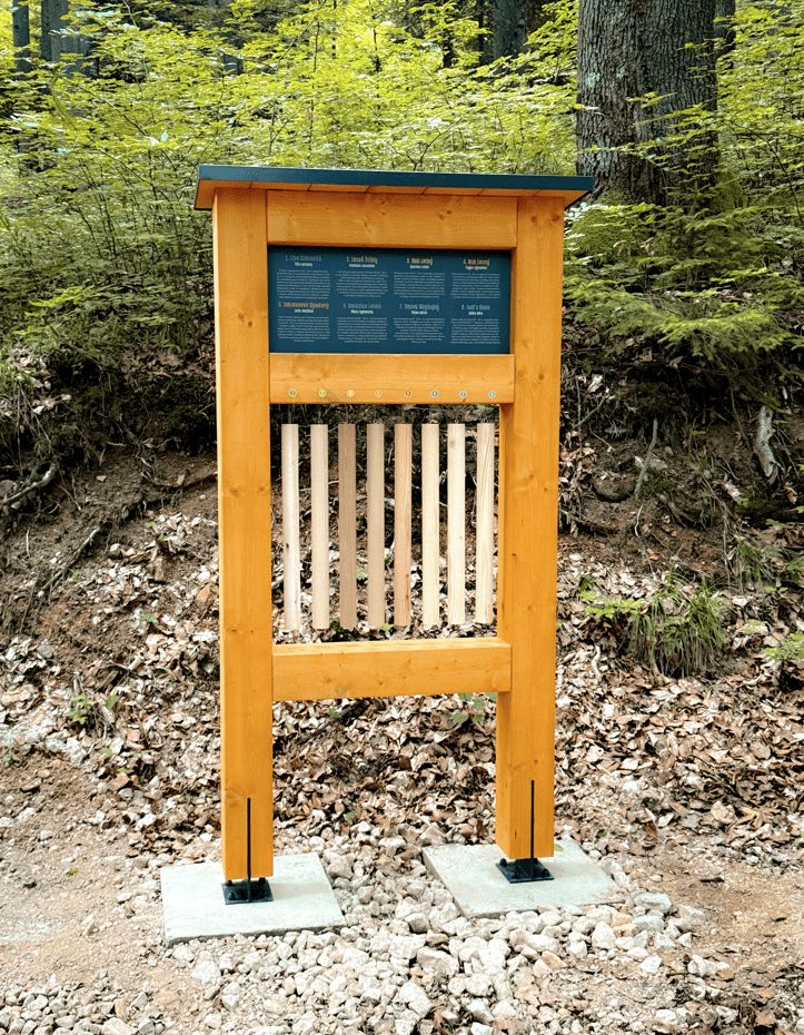 Dendrológ - realizácia v Jelšave